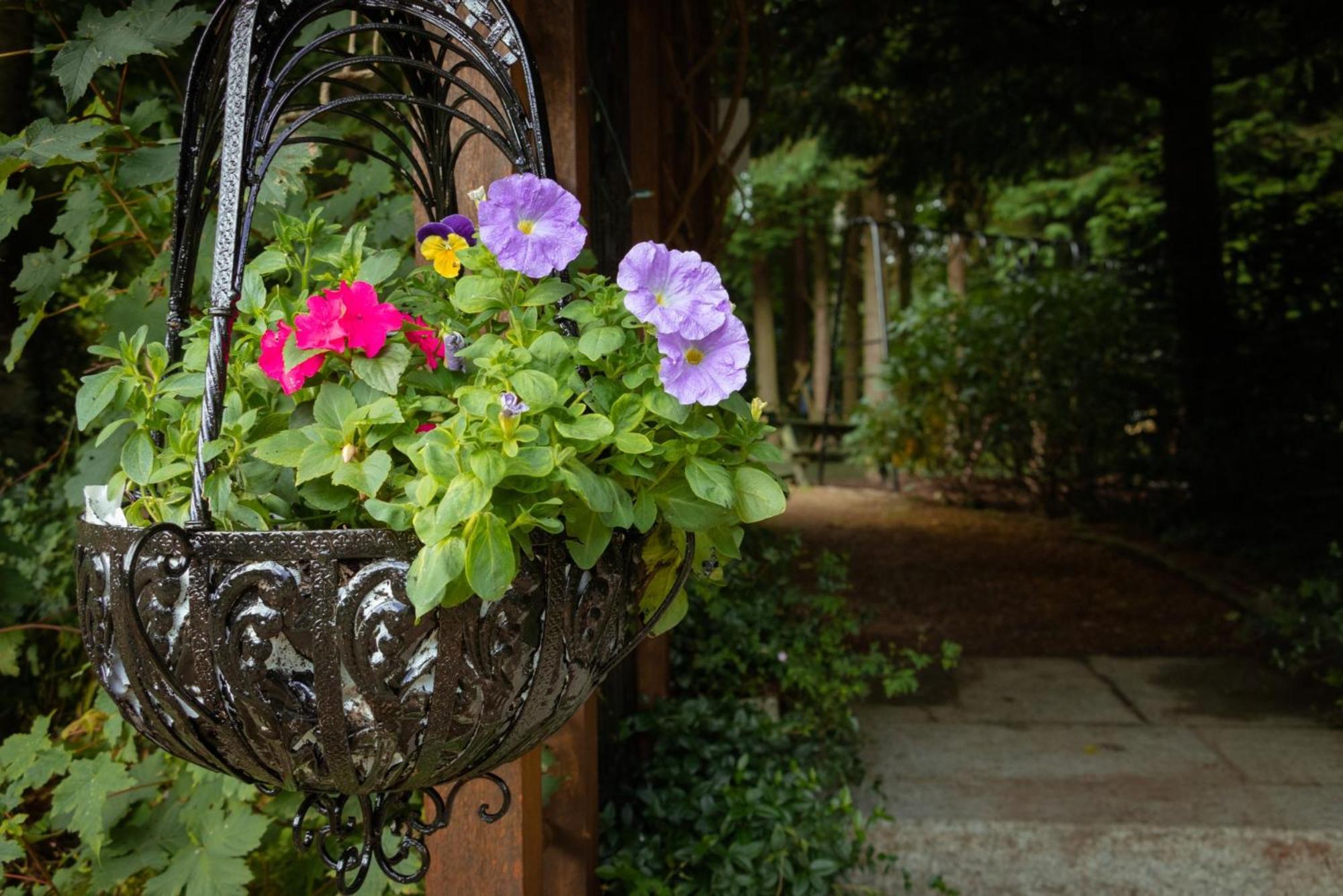Croneybyrne Courtyard Villa Clara Bagian luar foto